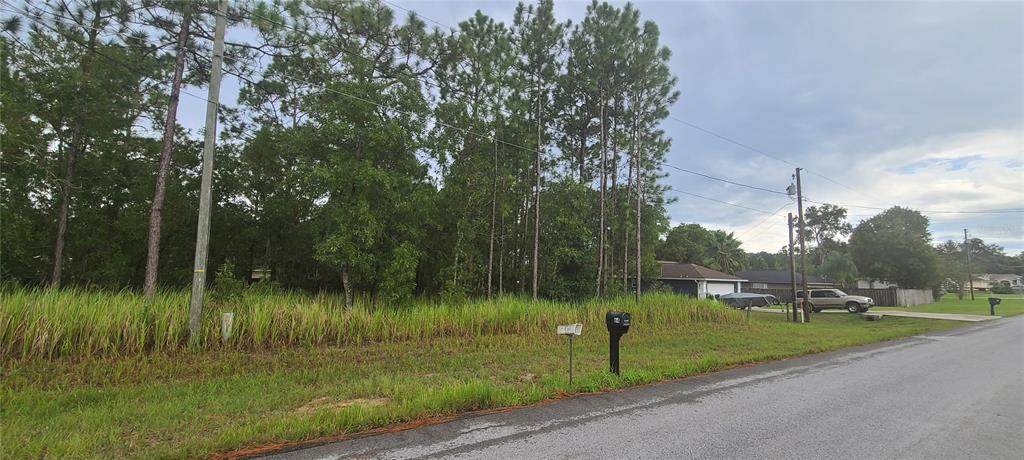 63 Redwood Road - Photo 1