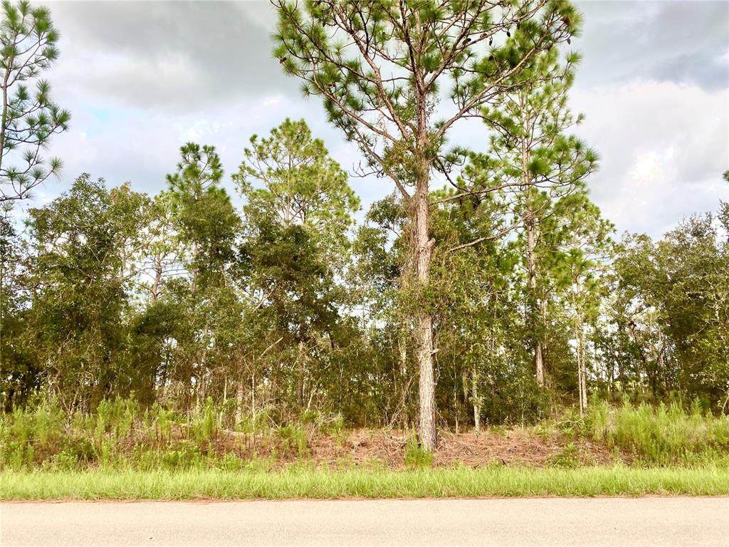 0000 Buena Vista Road - Photo 1