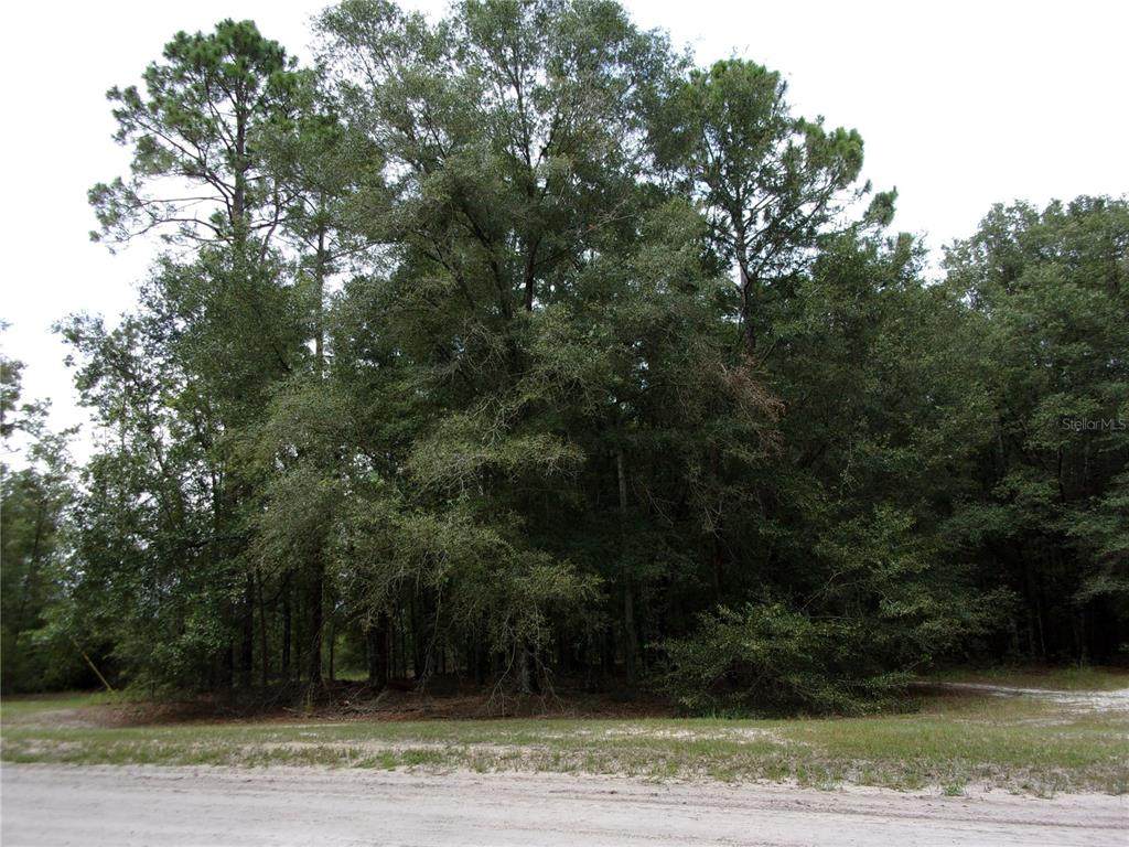 0000 95TH Drive - Photo 1