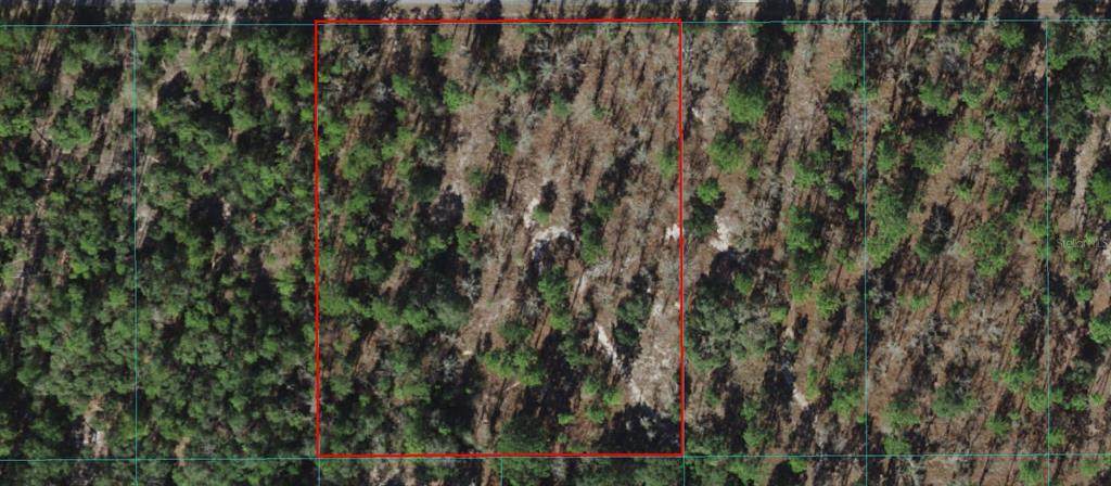 00000 Blueberry Lane - Photo 1