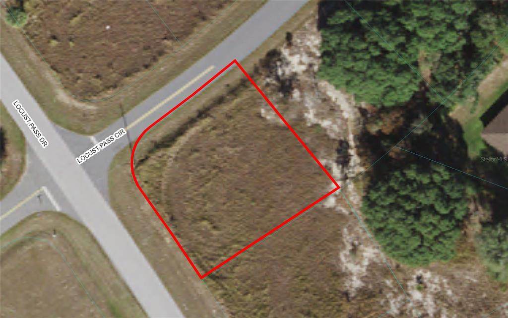 00 Locust Pass Circle - Photo 1