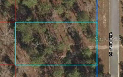 Lot 2 134TH Terrace - Photo 1
