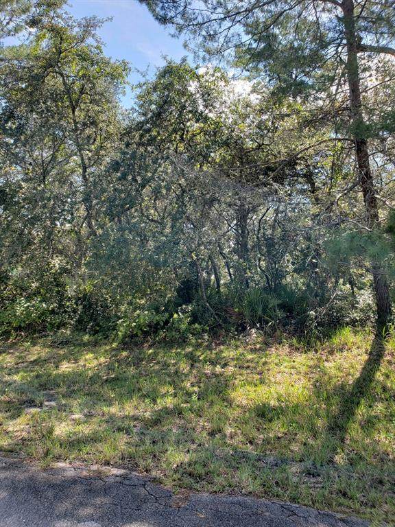 TBD 17TH Avenue - Photo 1