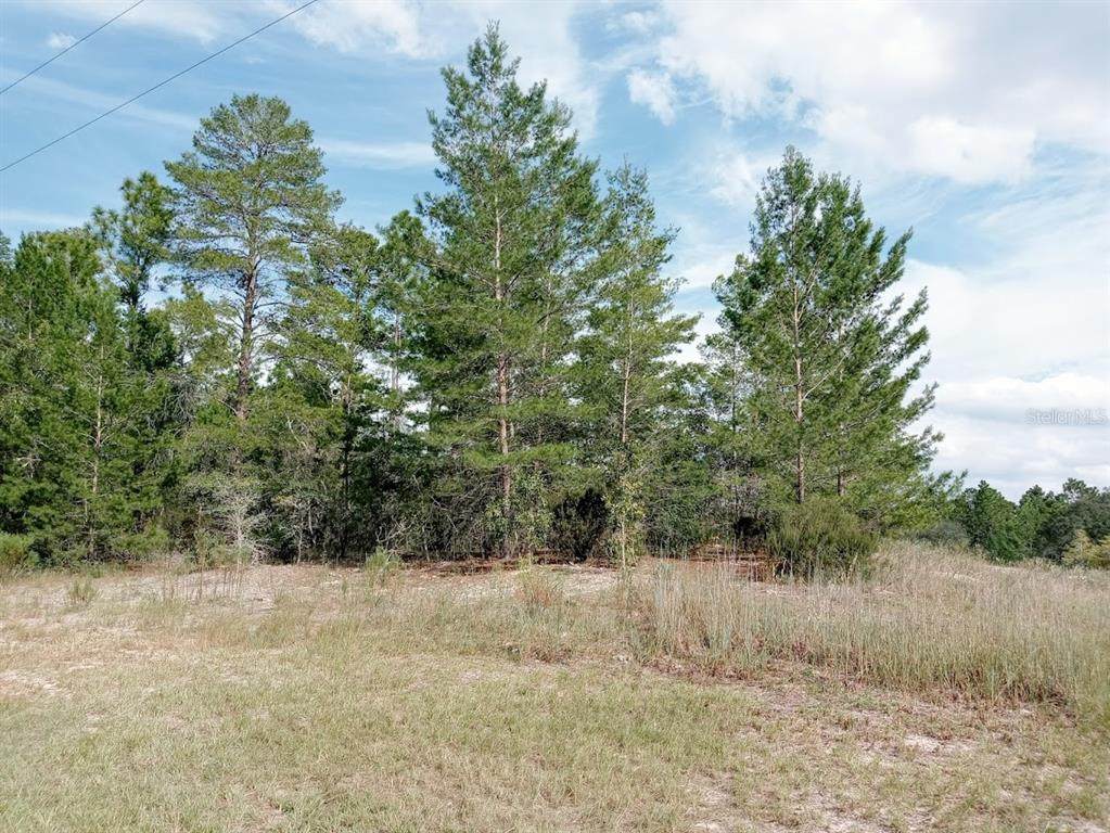151ST Loop - Photo 1