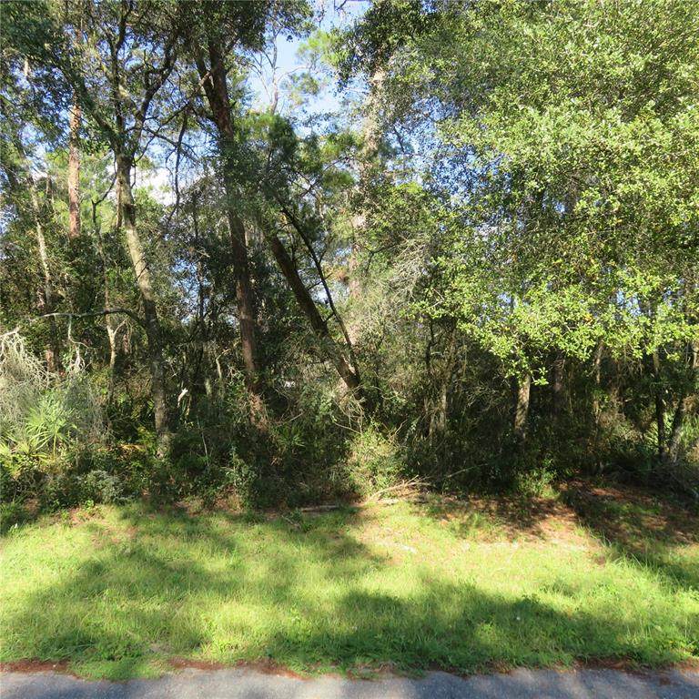 00 24TH CT. Road - Photo 1