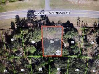 3042 Citrus Springs Boulevard - Photo 1
