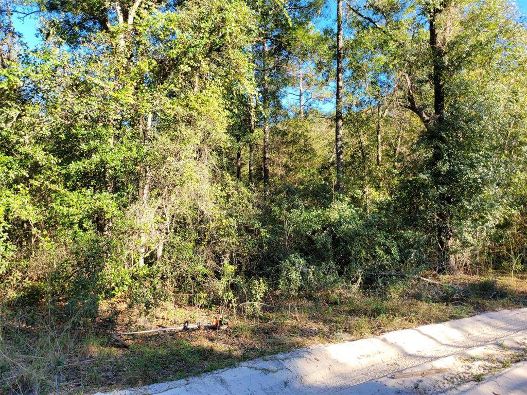 0 92 Court - Photo 1