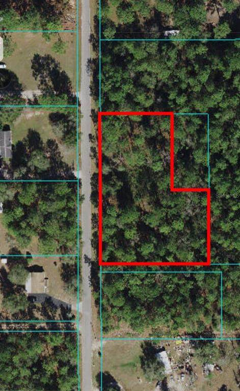 189TH Ave - Lake Tropicana Ranchettes Street - Photo 1