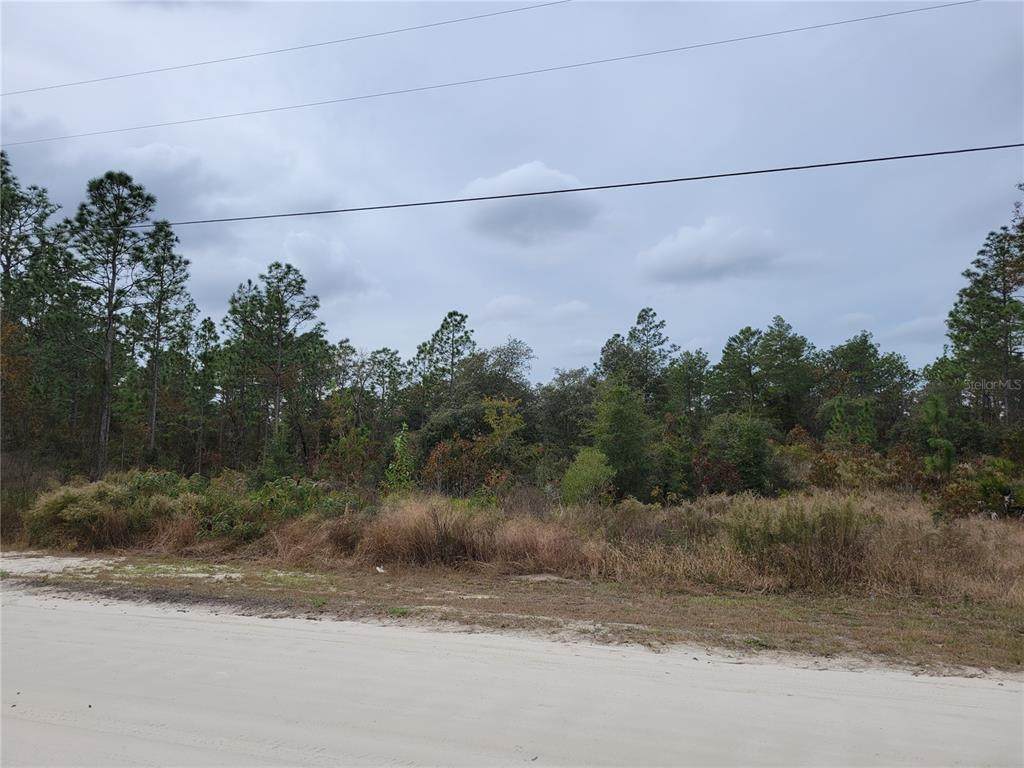 0 167TH AVE. - Photo 1