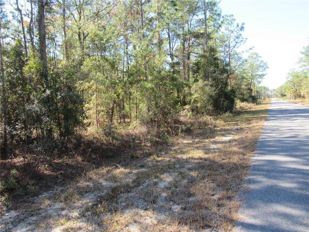 0000 Beaver Drive - Photo 1