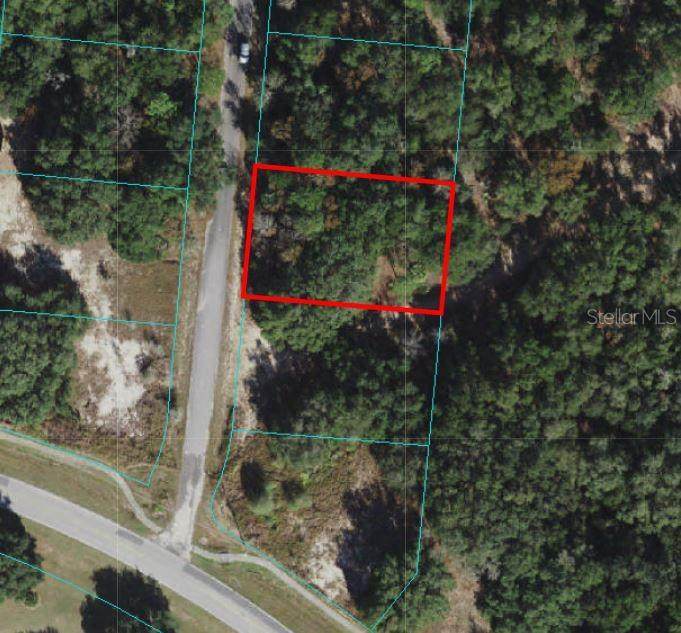 11 Hickory Track Drive - Photo 1