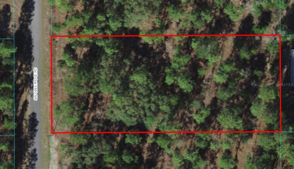 Lot 38 Obee Ridge Road - Photo 1
