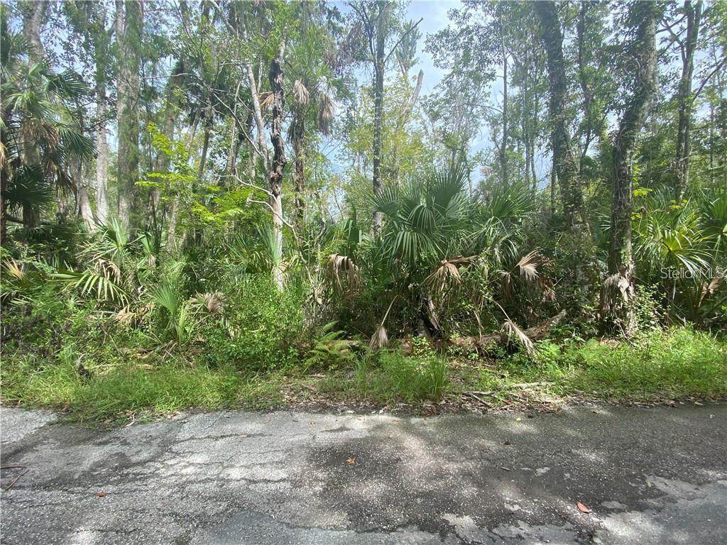 4423 Lewoods Drive - Photo 1