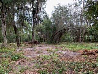 0 Young Place - Photo 1
