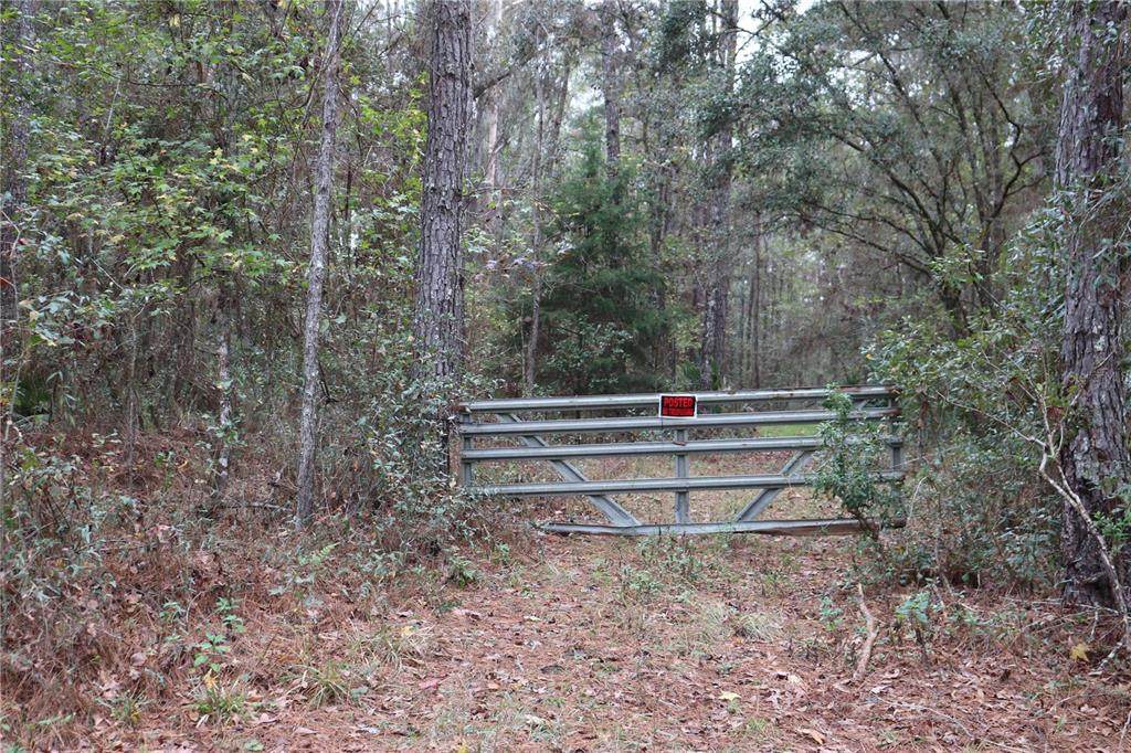 XX 168TH Place - Photo 1