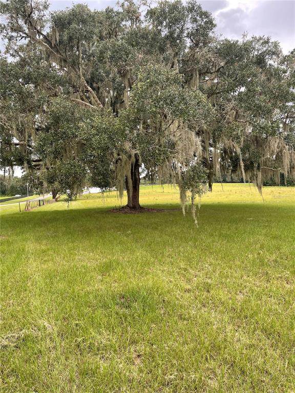 8541 110TH Street - Photo 1