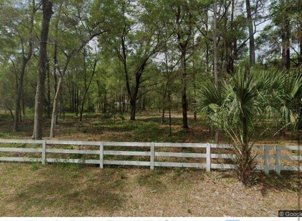 2518 Plumtree Lane - Photo 1