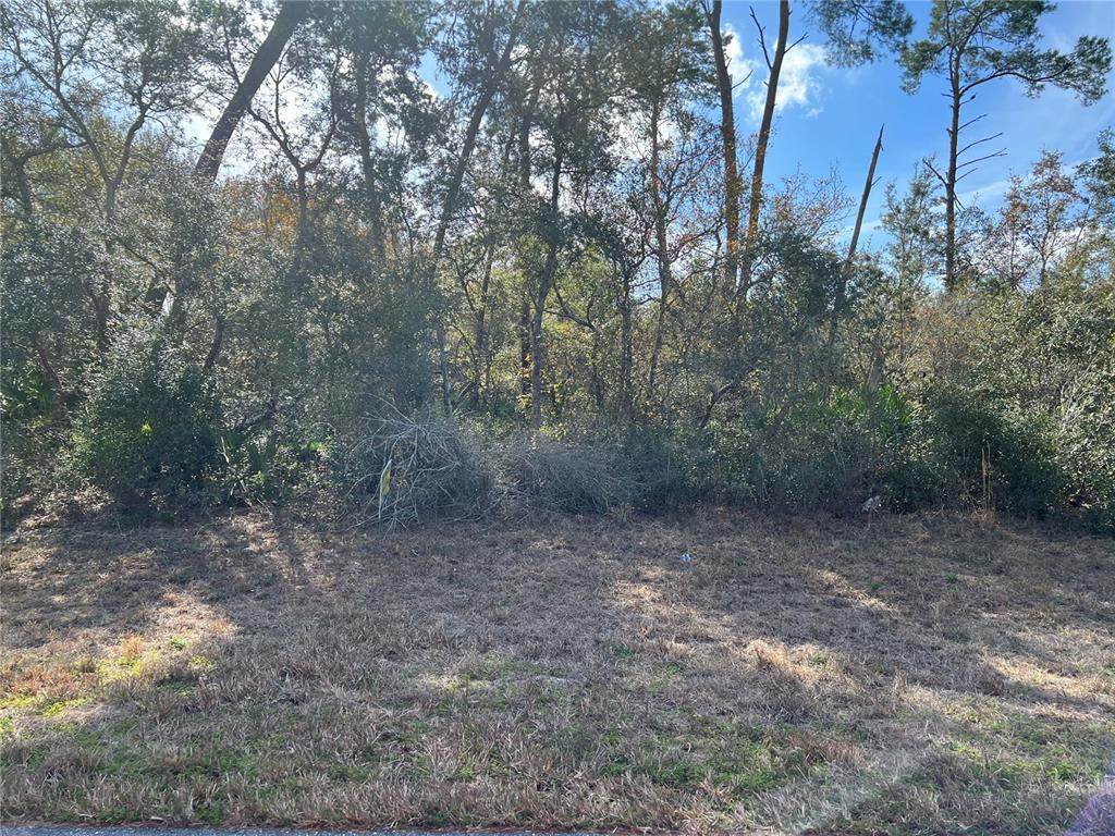 0 131ST PLACE Road - Photo 1