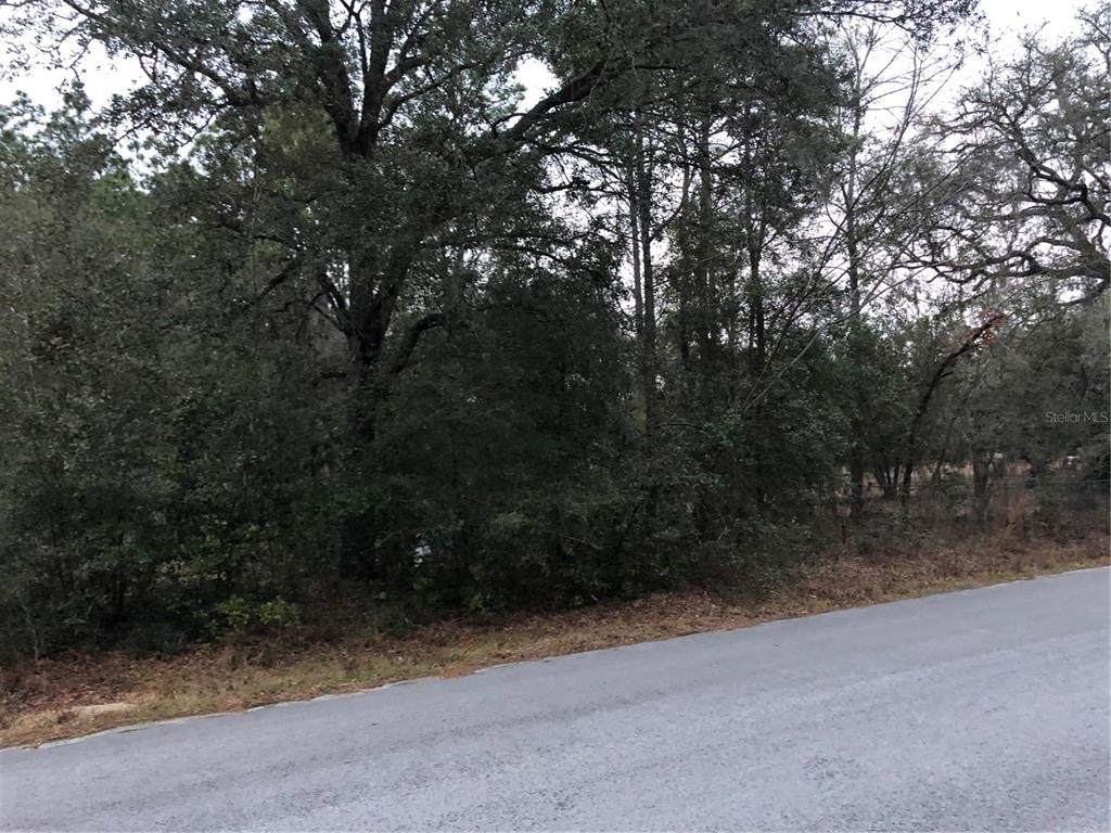 00 183RD Terrace - Photo 1