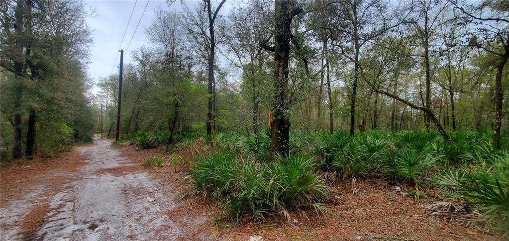 TBD 151 Place - Photo 1