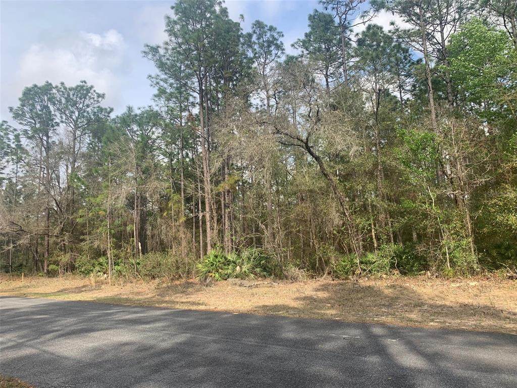 3952 Buckhorn Drive - Photo 1