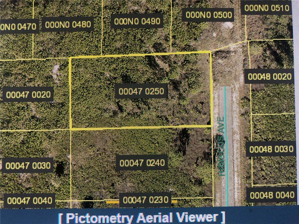 1123 Hibiscus Avenue - Photo 1