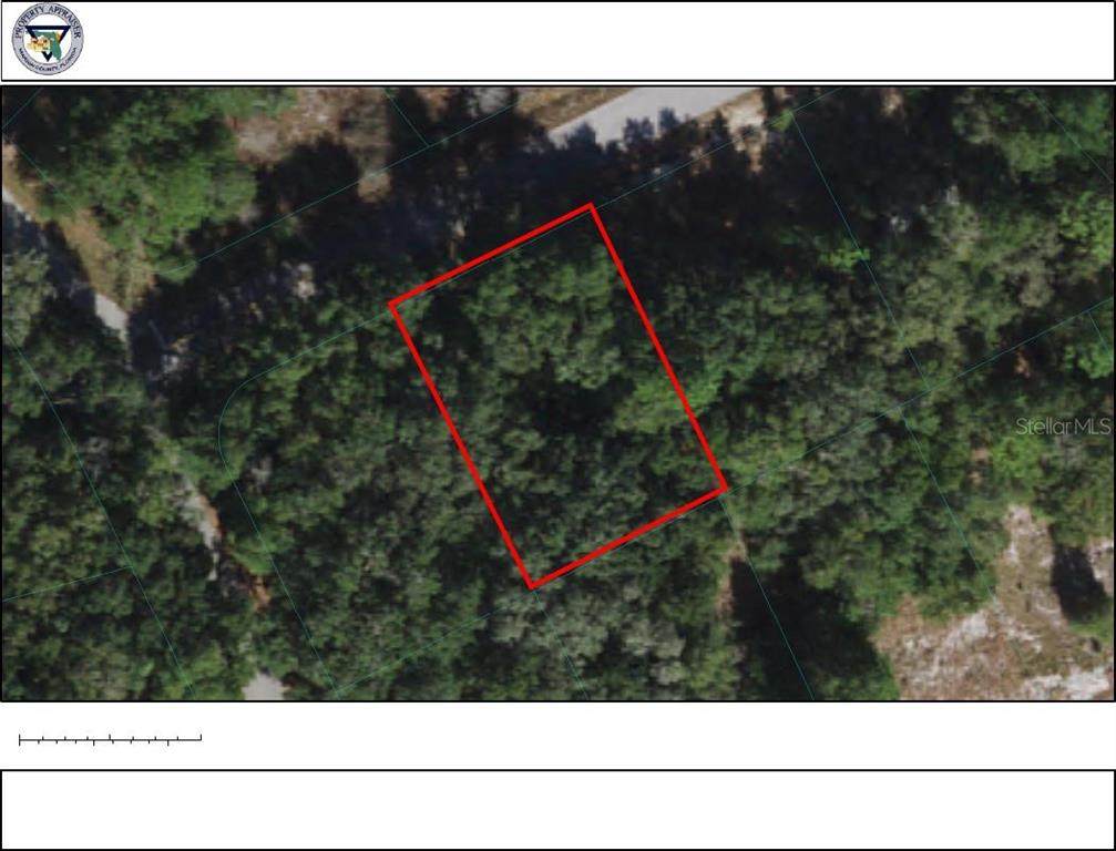 Locust Drive Trail - Photo 1