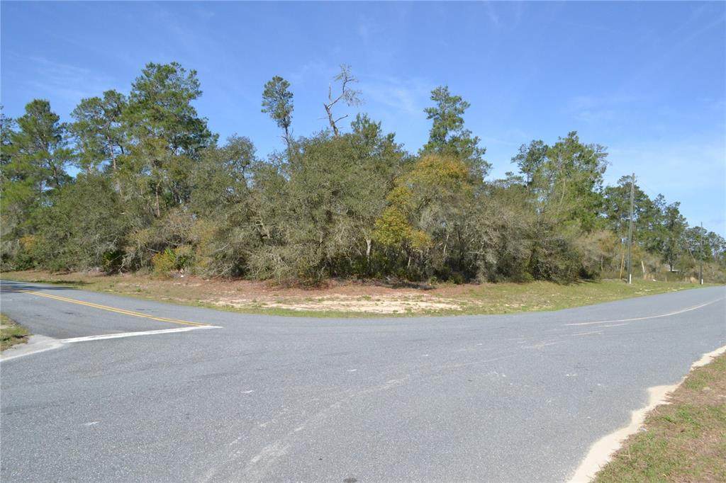 00 168TH Loop - Photo 1