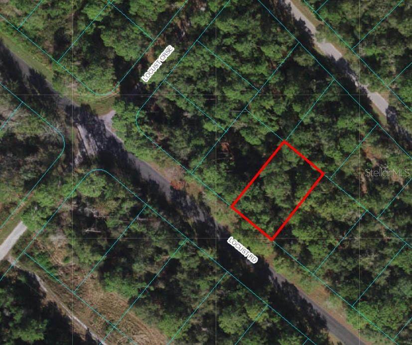 0 Locust Road - Photo 1