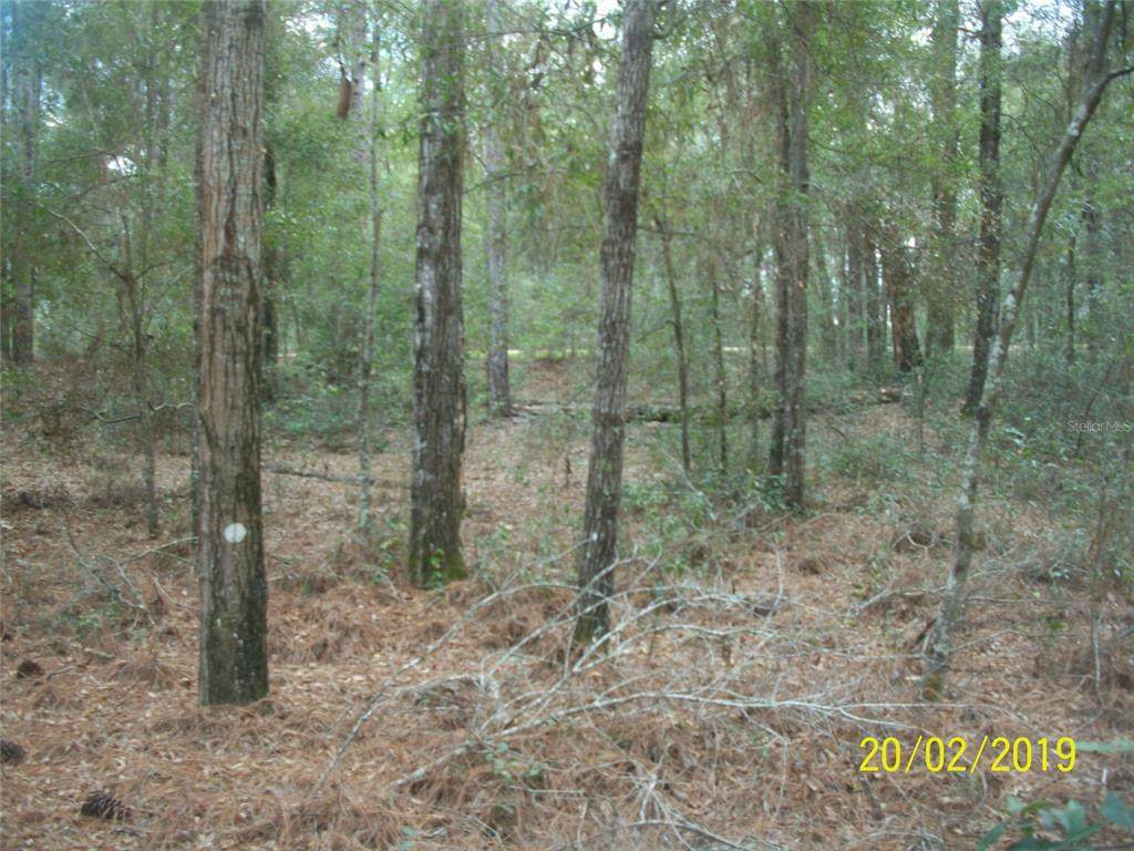 0 137 Court - Photo 1