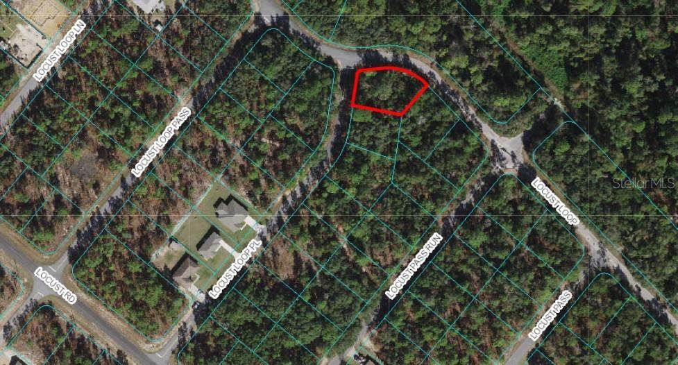 TBD Locust Loop Place - Photo 1