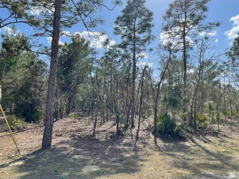 0 SW 89TH ST - Photo 1