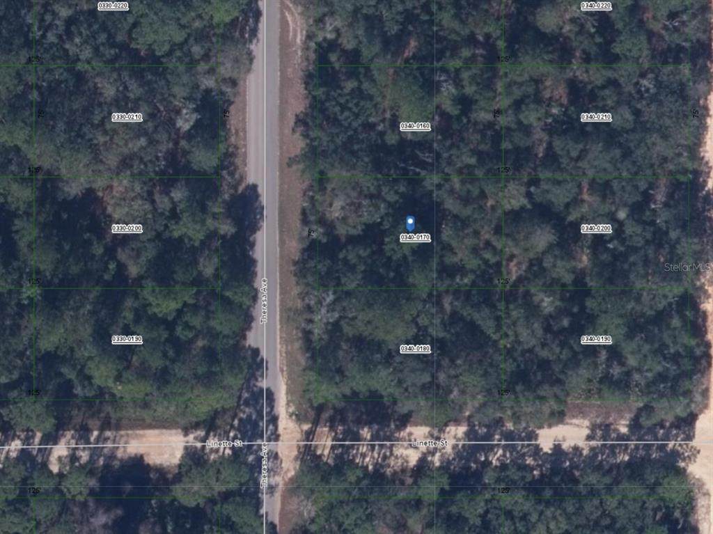 0 Theresa Avenue - Photo 1