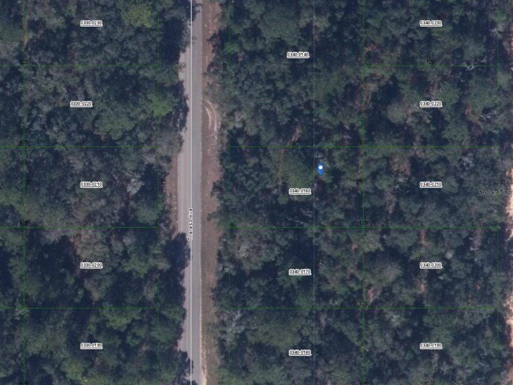 0 Theresa Avenue - Photo 1