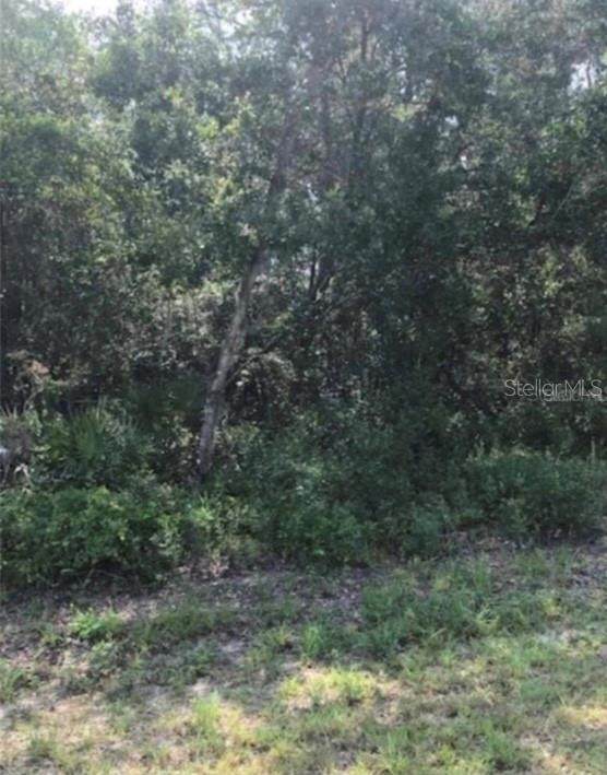 Sw Hwy 484 - Photo 1