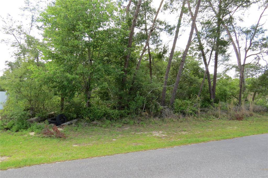 TBD 156TH Loop - Photo 1
