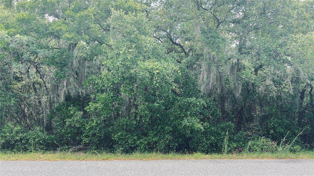 Olive Drive - Photo 1