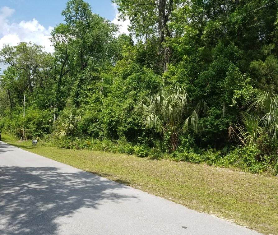 10240 Palmetto Street - Photo 1