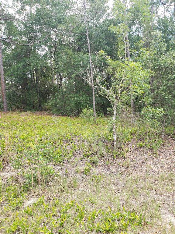 0 Timberlake Road - Photo 1
