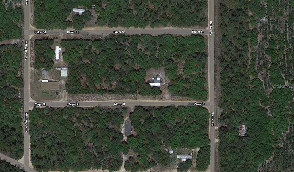 00 Banks Avenue - Photo 1