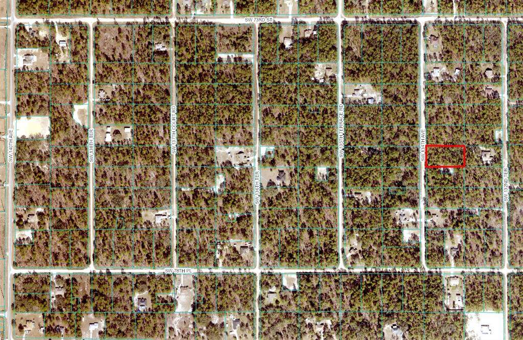 0 134TH AVE - Photo 1