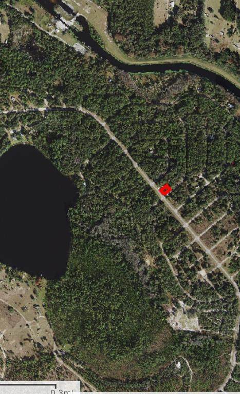 Lot 1 Sequoia - Photo 1