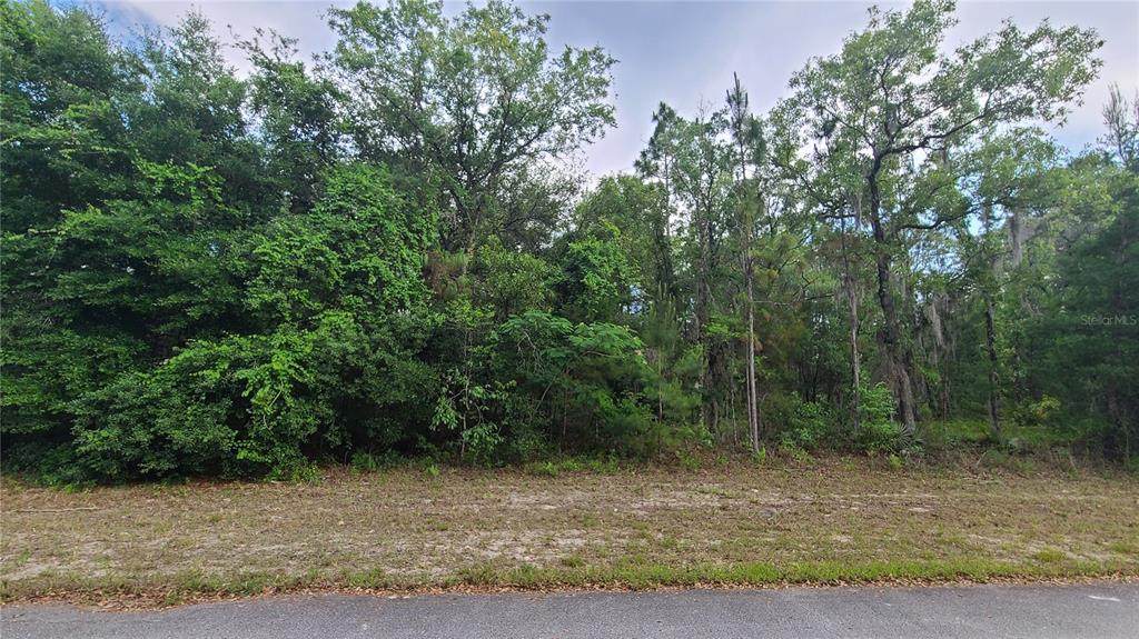 00 163RD STREET ROAD - Photo 1