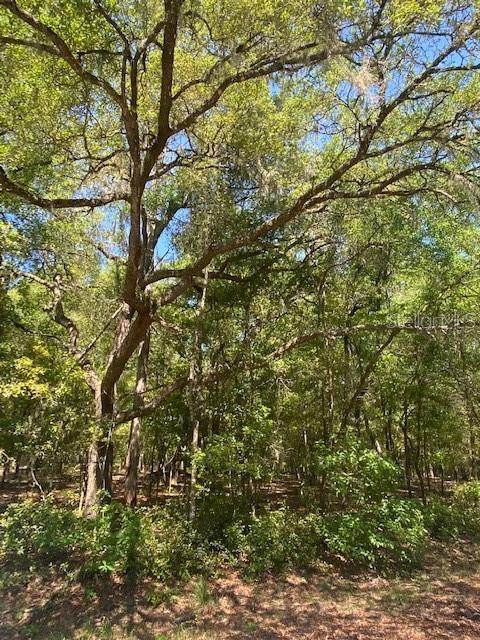 0 186TH Avenue - Photo 1