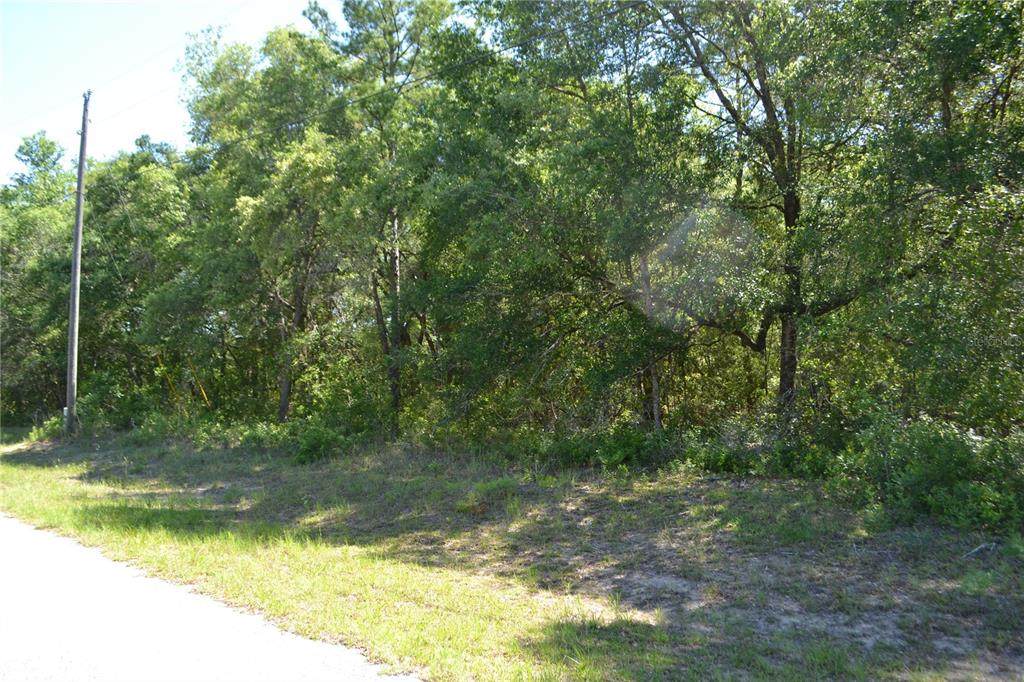 10609 Skylark Terrace - Photo 1