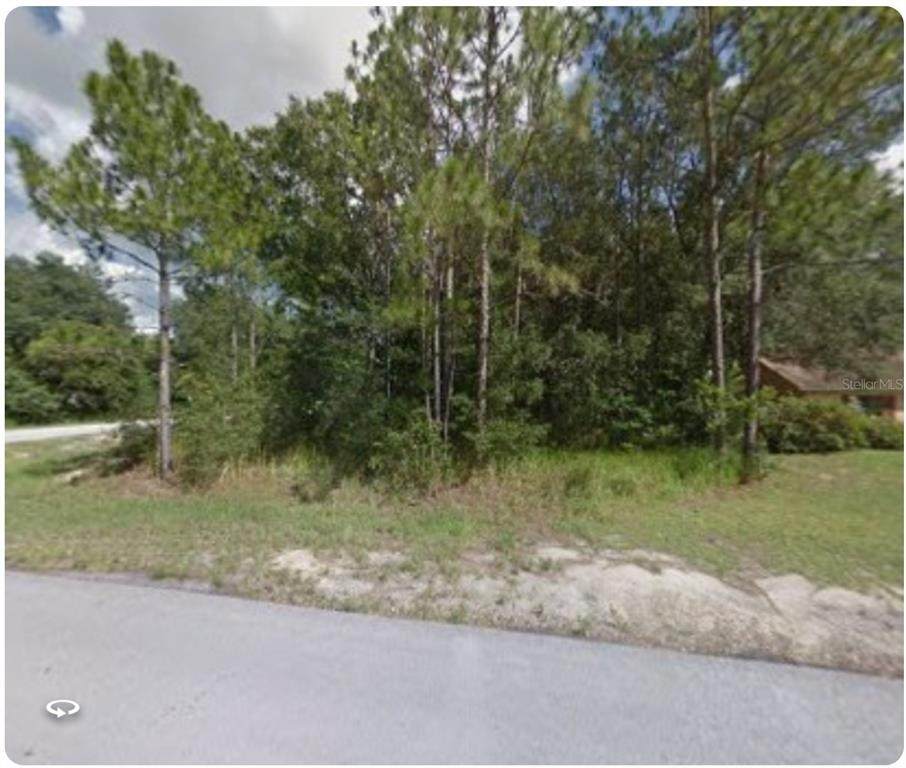 1 Cedar Tree Terrace - Photo 1