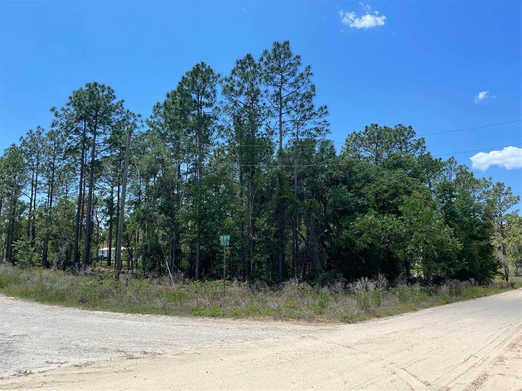 0 168TH Avenue - Photo 1