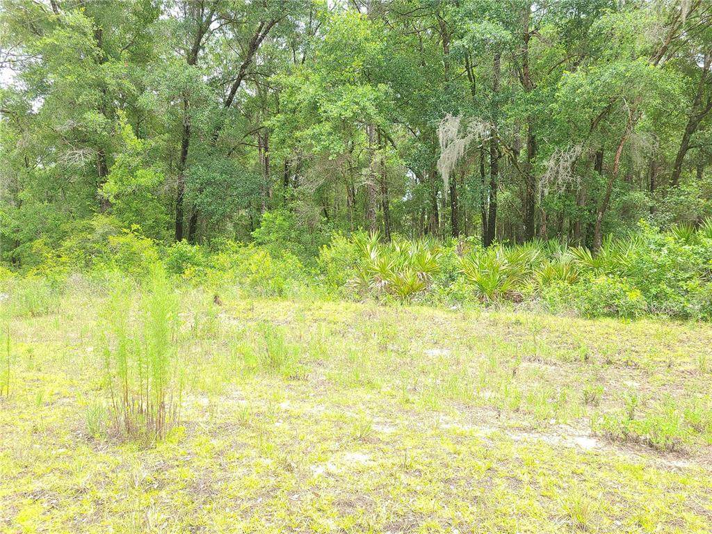 0 64TH STREET Road - Photo 1