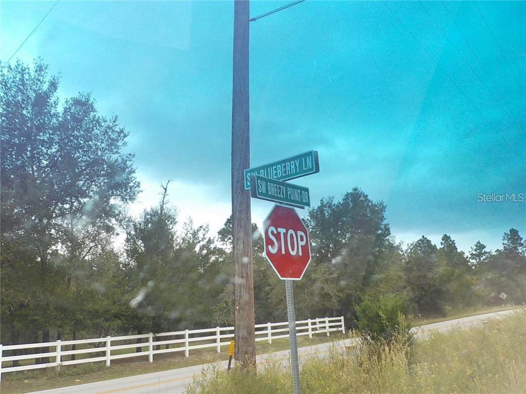 TBD Blueberry Lane - Photo 1