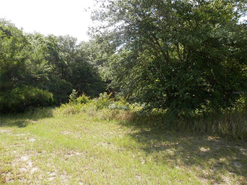 0 143RD Place - Photo 1